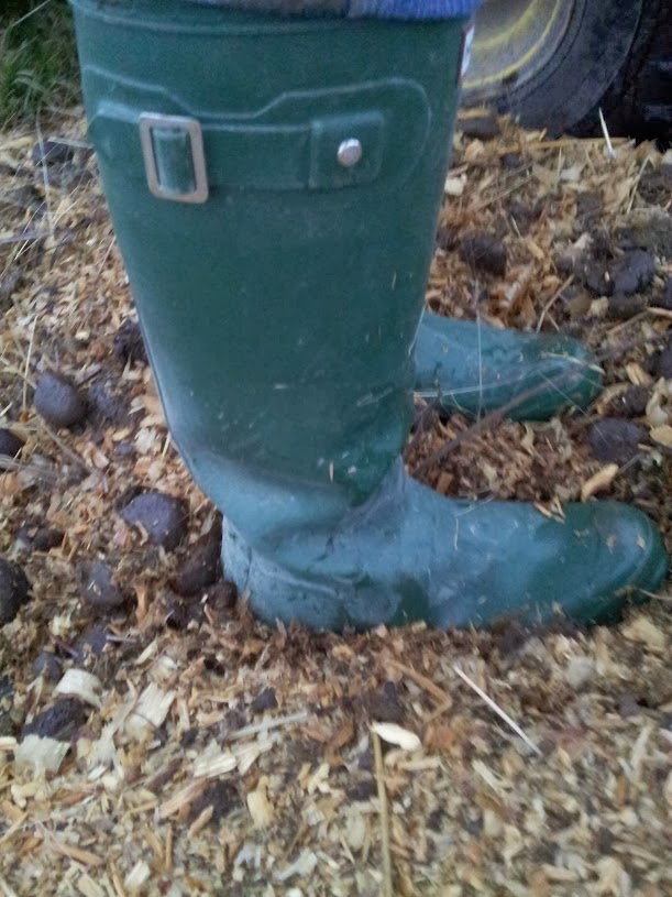 Product Review Hunter Original Tall Rain Boots Hand Gallop