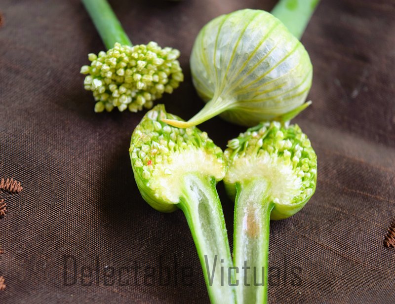 Delectable Victuals HomeGarden Green Onion Flower Buds Salad