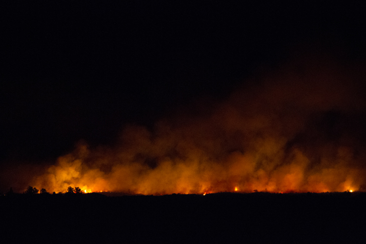 Elva's Field Notes Fire!