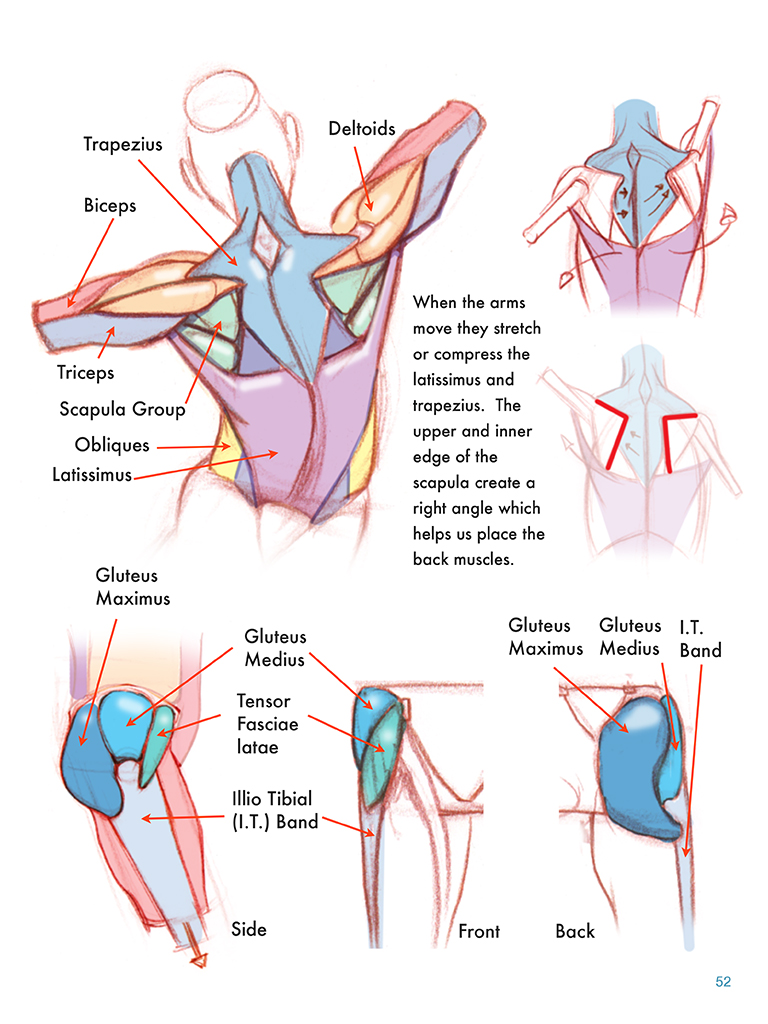 Gesture drawing foundation of the figure pdf Clearance