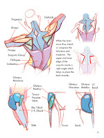 gesture drawing foundation of the figure pdf