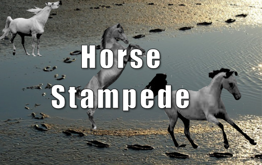 Horse Stampede
