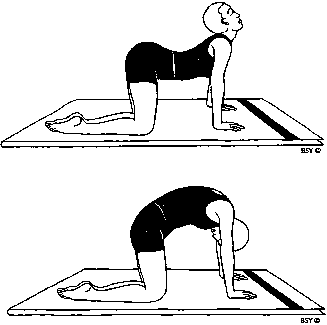 Как сделать поясницу. Марджариасана. Ардха Марджариасана. Упражнения на спину. Упражнения для спины на четвереньках.
