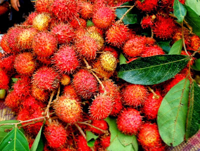 Rambutan Berbahaya untuk Penderita Diabetes Rambutan Berbahaya untuk Penderita Diabetes