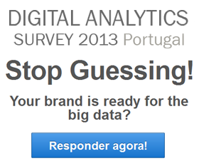 Digital Analytics Survey 2013 Portugal