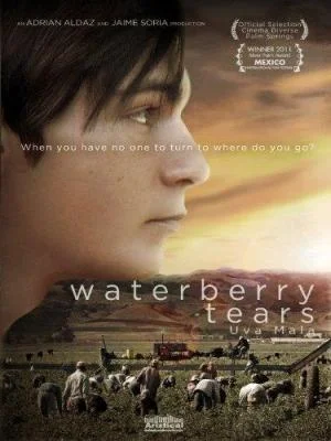 VER ONLINE Y DESCARGAR PELICULA "Uva Mala" - "Waterberry Tears" VER ONLINE Y DESCARGAR PELICULA "Uva Mala" - "Waterberry Tears"