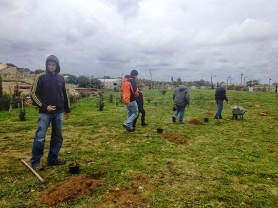 Green Patches Tree Planting