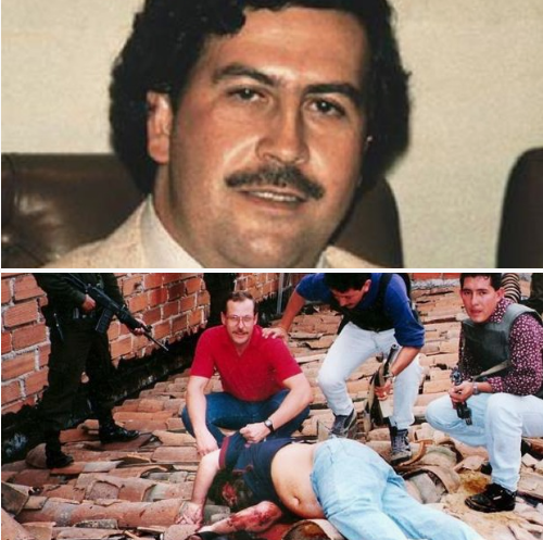 Lista 105+ Foto The True Story Of Killing Pablo El último