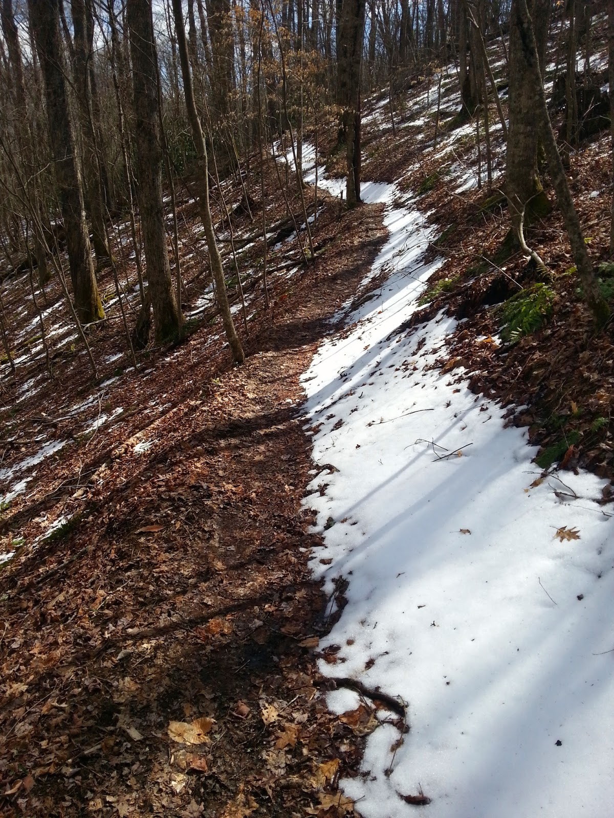 Smoky Scout's Hiking Adventures AT in TN Iron Mountain Gap to Carver