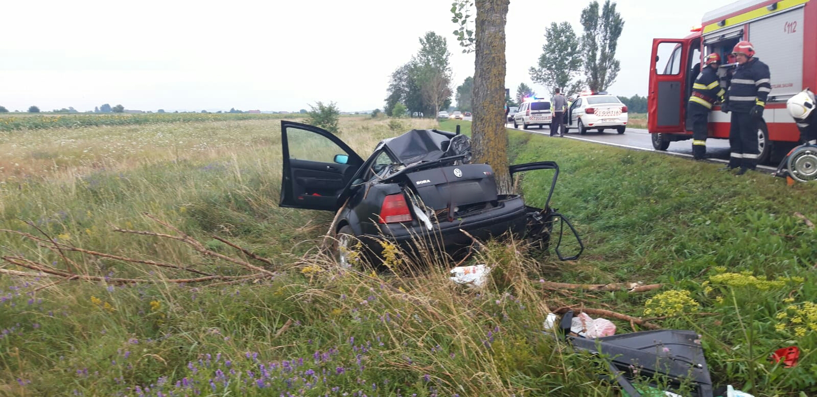 Accident mortal la Boroaia Accident mortal la Boroaia