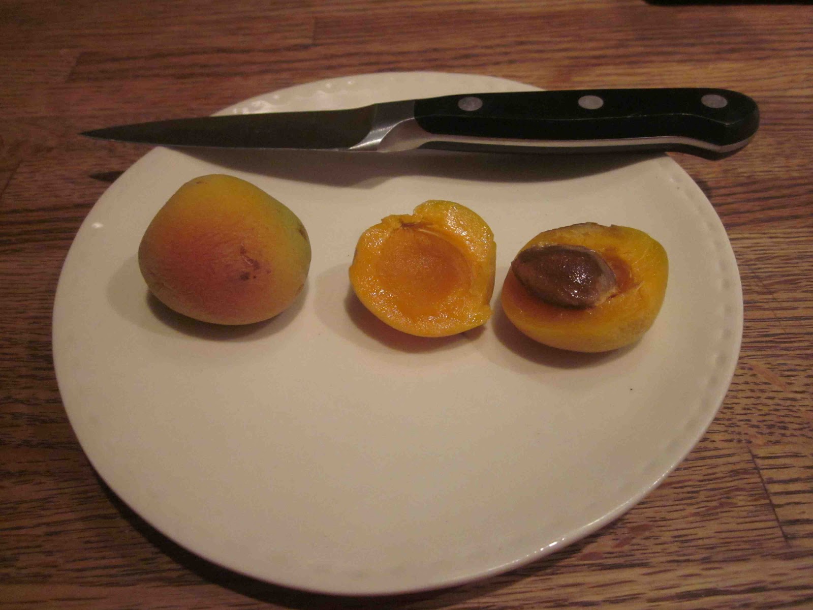 New House Girl Apricots BEFORE, DURING and AFTER