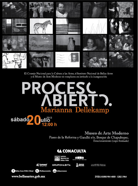Exposición "Proceso Abierto" de la artista Marianna Dellekamp en el Museo de Arte Moderno