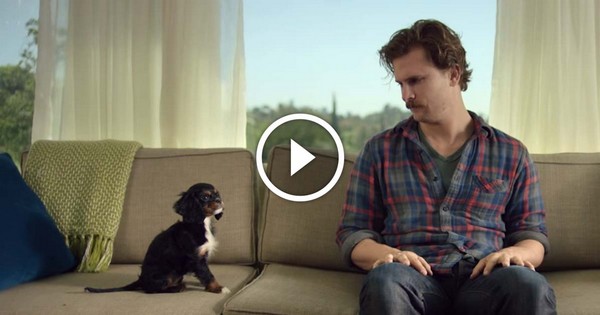 You Won't Believe What Happened When This Adorable Puppy Got Home For The First Time