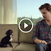 You Won't Believe What Happened When This Adorable Puppy Got Home For The First Time