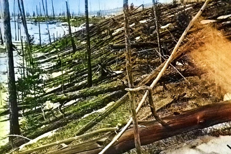 Tunguska patlaması yaşandıktan sonra 2070 kilometrekarelik alandaki her şeyin dümdüz olduğu tespit edildi.