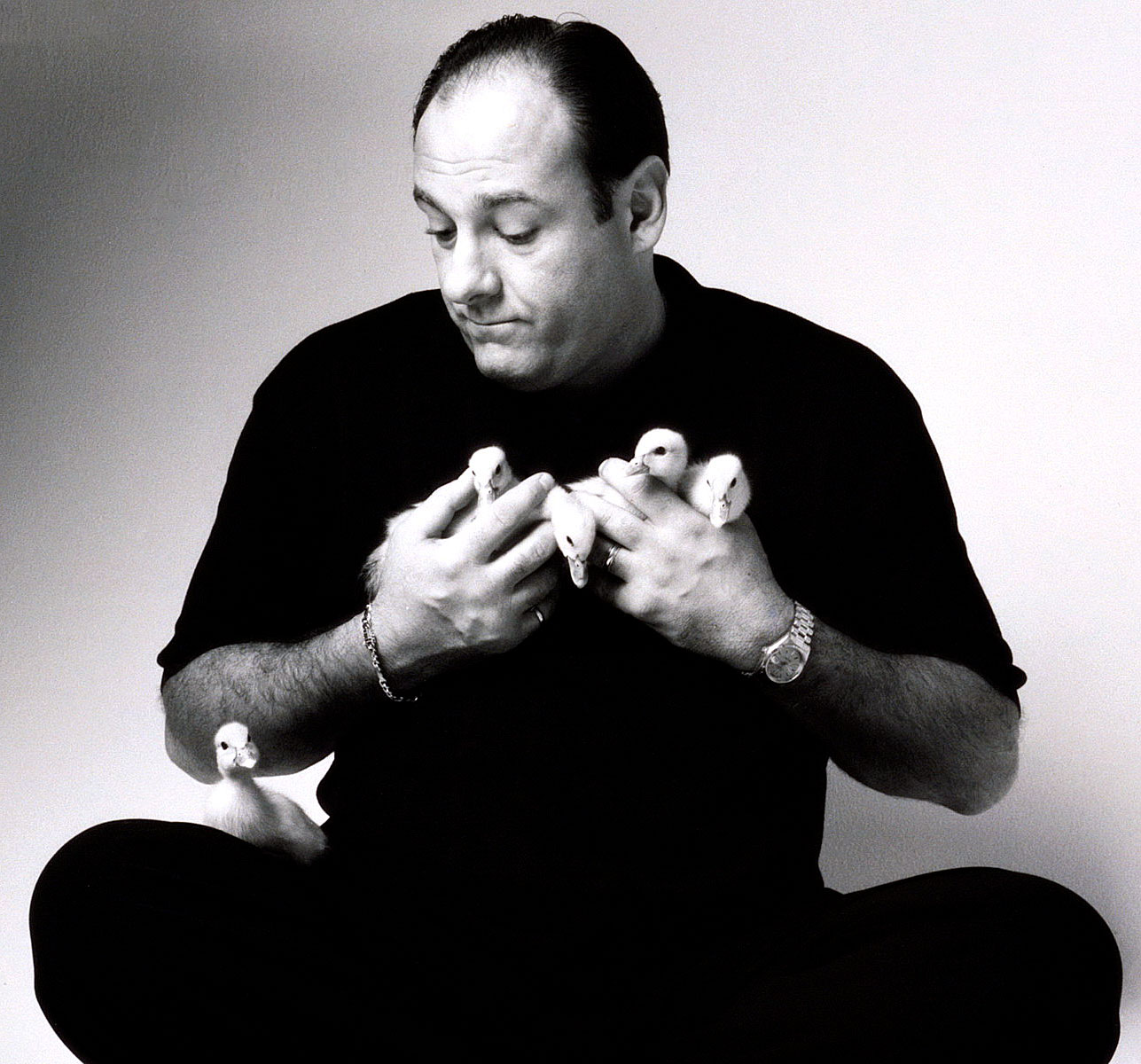 est100 一些攝影(some photos) James Gandolfini, 詹姆斯·甘多菲尼