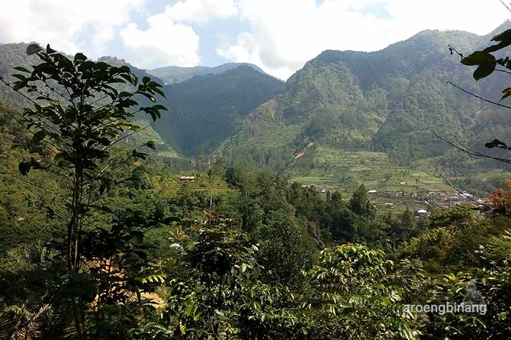 curug bajing petungkriyono pekalongan