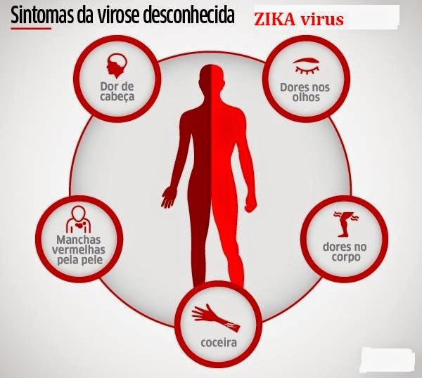 Observatório MUNICIPAL Jequié - de Ação Social: ZICA VIRUS - sintomas ...