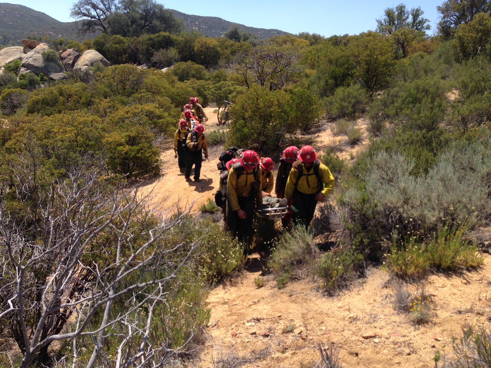 THE LAGUNA INTERAGENCY HOTSHOT CREW: Crew is available nationaly