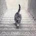 Bajando las escaleras