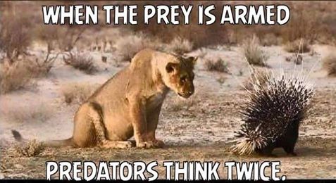 PREDATORS THINK TWICE – The Burning Platform