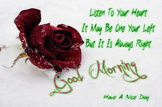 good morning with rose good morning with rose