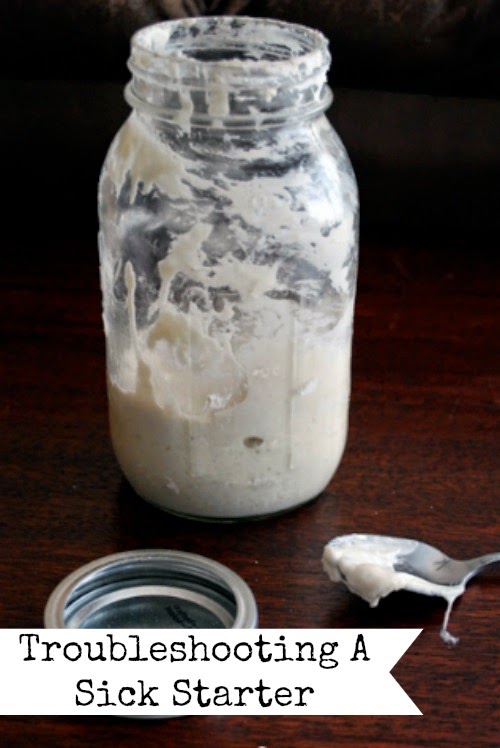 Why Does My Sourdough Starter Smell Like Alcohol? - Food And Life Lover