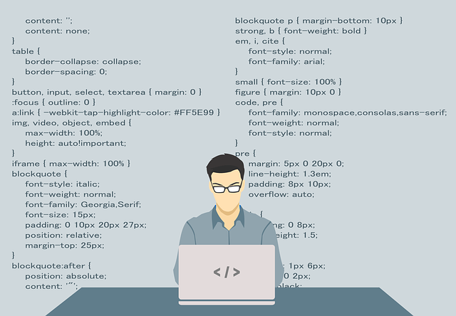 6 Ways A Professional Web Developer can Boost your Online Presence
