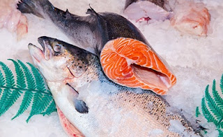 somon balığı balık yağı alaska somonu omega3 omega3 omega 3