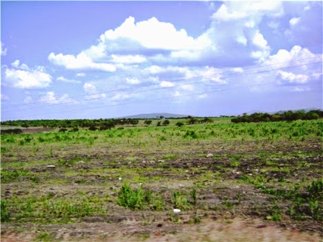 Campos agostados