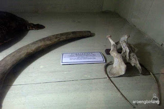 museum tanjungpandan belitung