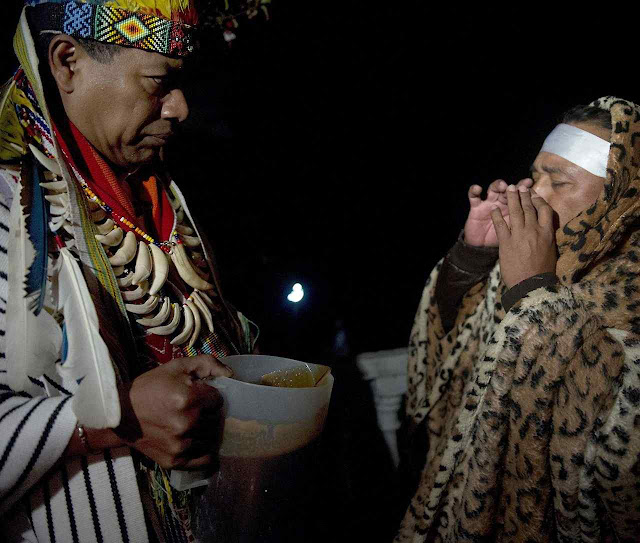 A nova liturgia amazônica 'inculturada' adotará costumes tirados da bruxaria local A nova liturgia amazônica 'inculturada' adotará costumes tirados da bruxaria local