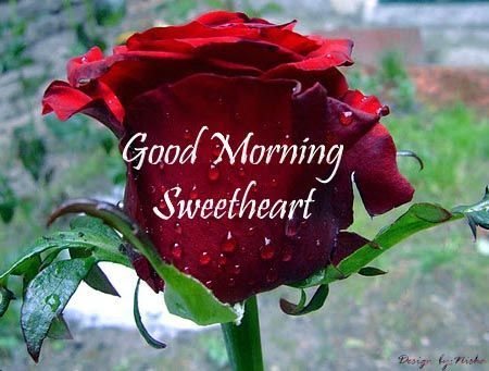 good morning sms with love