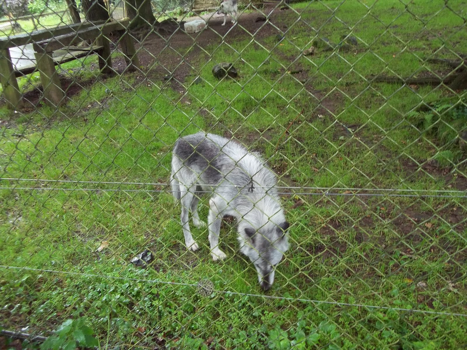 Epic Adventures Dartmoor Zoological Park