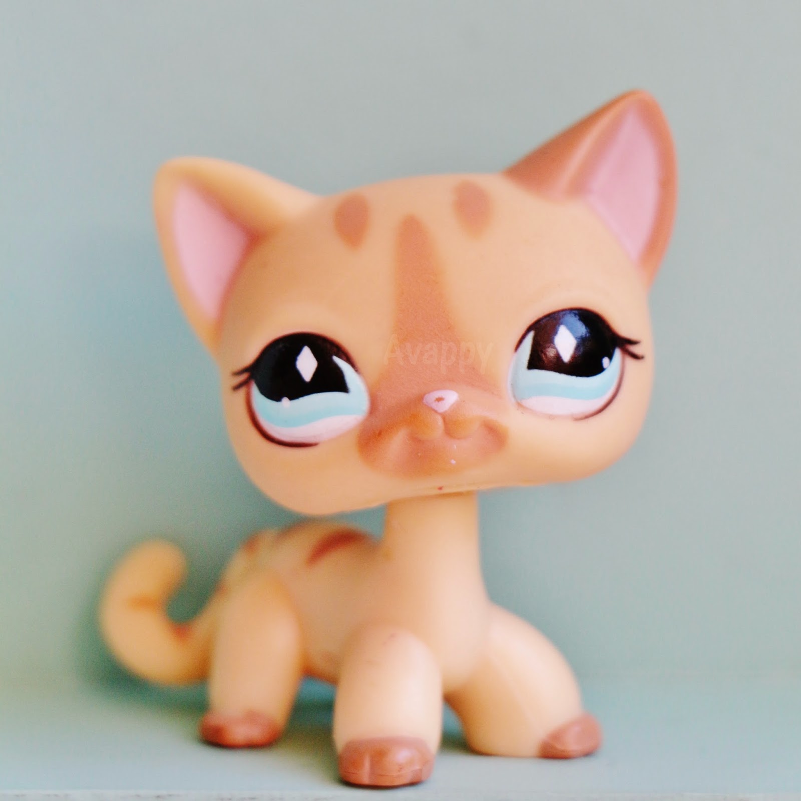 Petshop Chat Européen 1377 Authentique.cat Lps Littlest Hasbro
