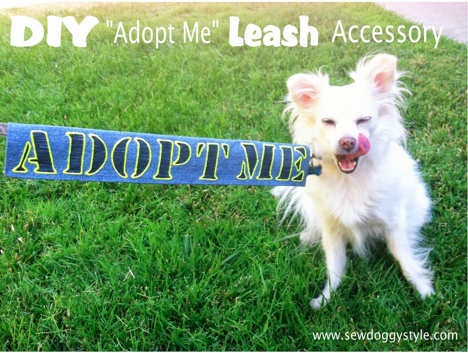 Sew Diy Adopt Me Leash Accessory 9 Let The Glue Dry Completely Before Testing Out Your New Leash Accessory