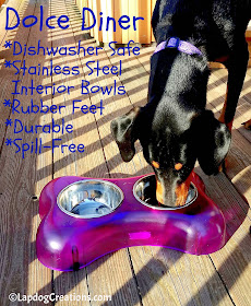 Penny knows the benefits of the Dolce Diner - do you? The dishwasher safe elevated feeding dishes are durable and dishwasher safe! ©LapdogCreations #LapdogCreations #LovingPets