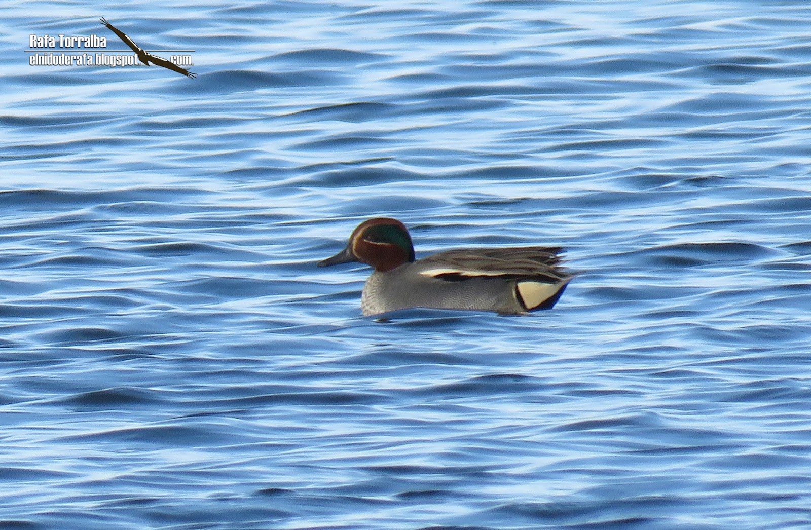 El Nido de Rafa La Mancha Húmeda