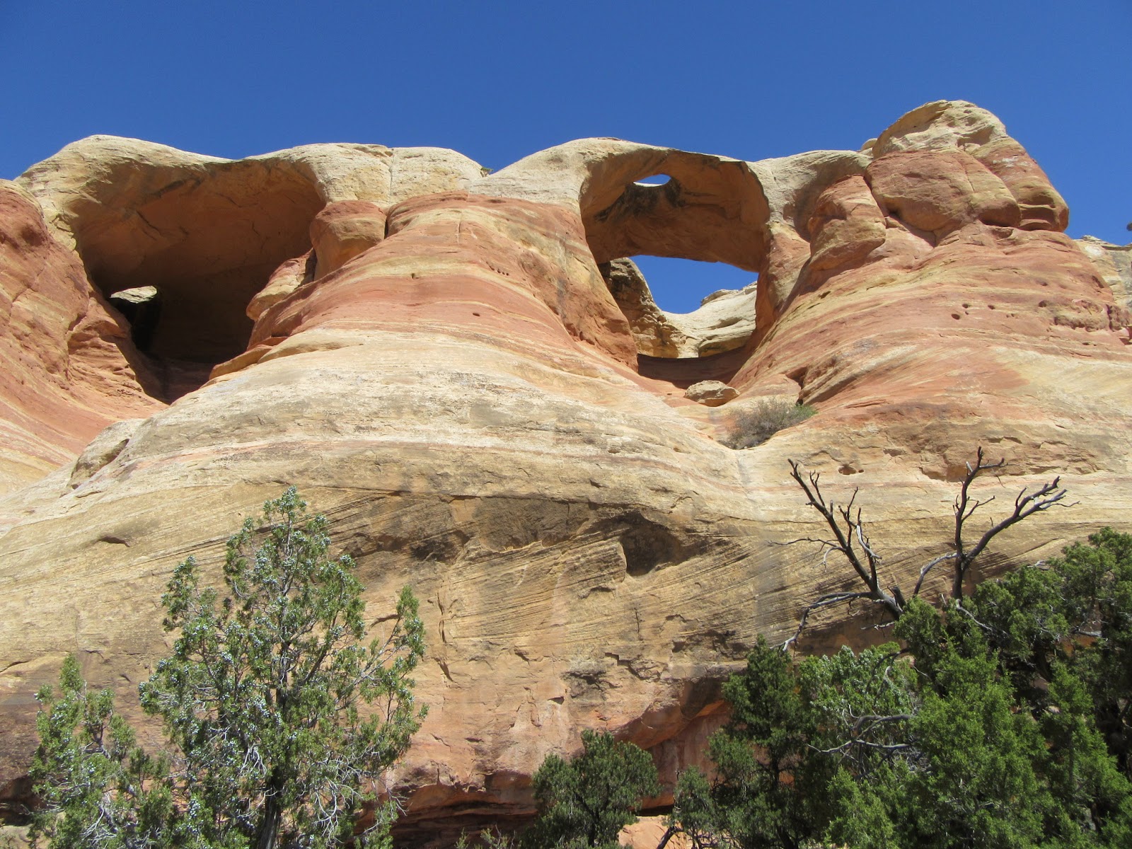 My Constant Change: Aspen: Pollock Bench to Rattlesnake Arches Hike