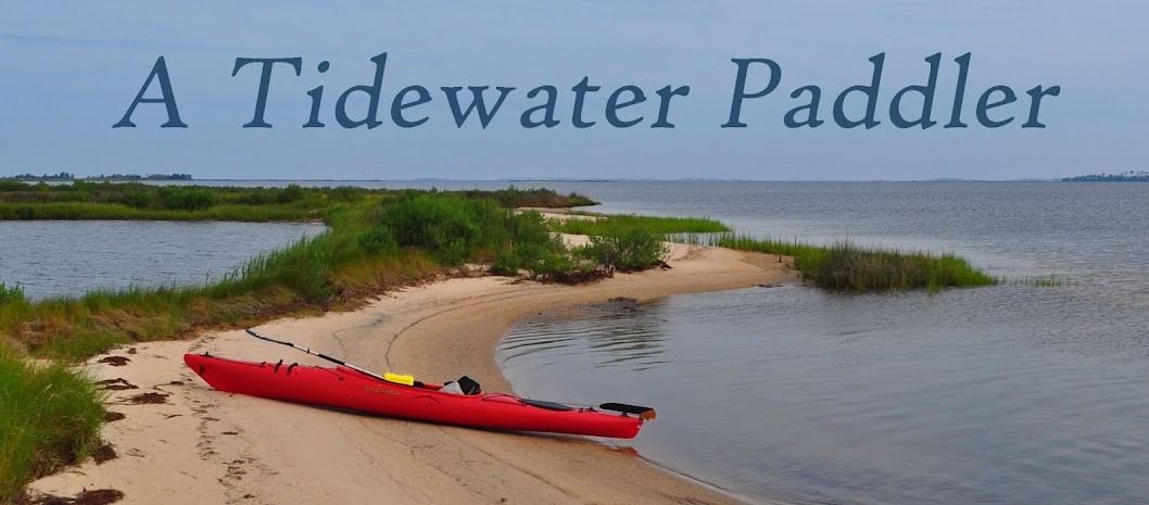 A Tidewater Paddler