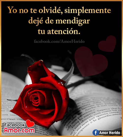 pensamientos de amor con rosas pensamientos de amor con rosas