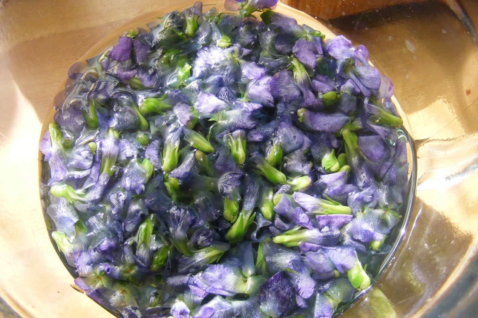 Scrumptious... Edible violets