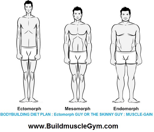 Ectomorph Diet And Workout Plan