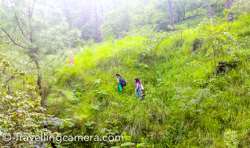 alt="Recently I was in Himachal to visit my Nana/Nani , who live in a small village called Chauntra in Hamirpur region. We spent 3 days with family there and planned to a short trek into the huge pine forest which stretched in hundreds of square kilometers. This Photo Journey shares more about the place and things you can do.First let me share that why we planned this trek. We have a small piece of land in the forest, from where we bring grass for cattle at home. I have visited this place many times in my childhood. It's approximately 2 kilometers from our house and I have carried grass from this land to the home through various mountains and gorges.We packed some stuff with us and headed towards the pine forest, which was lush green because of monsoons. Although some of the pines had marks of fire which spread in summers.Since may of these terrains are not frequently visited, so it was hard to find right path. To add more flavor to the problem, high grass was making it more difficult. Especially it was more risky around the edges when high grass was very distracting.On our way, we met lot of new friends walking on the lush green grass.Some of them were very active and difficult to capture in my Travellingcamera. This Photo Journey has some of the those who co-operated with Travellingcamera :). This Ladybug accompanied us for a long time.There were lot of butterflies all around, but again we couldn't capture them all.Above photograph shows a village at a distance surrounded by corn fields and banana farms. Most of these photographs are clicked with #SamsungS5. Who can guess this? In above photograph you see some marks on pine tree. This is usually done to take out gum which is used for industrial purposes. Marking marking such cuts with knife a container is hanged in the bottom of this area, which collects gum. A team of folks regularly visit forest to take this gum and put empty containers again.An abandoned house in middle of the forest. Sky always looks so bright and colorful in Hamirpur. It was a great day spent with family !!"