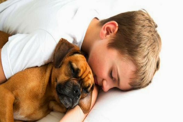 Inilah 6 Hal Berbahaya Bagi Kesehatanmu Saat Tidur Dengan Hewan Peliharaan. No 5 Sering Terjadi