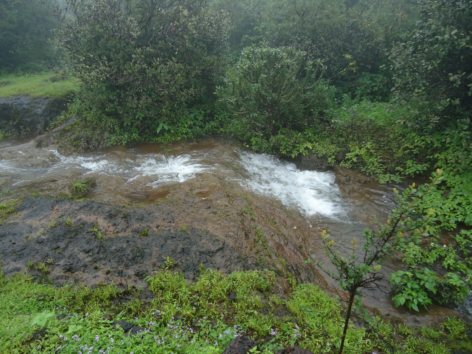 Spice of Life! My tryst with Kas Pathar