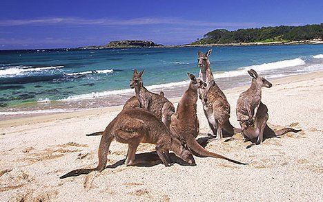 australia tour
