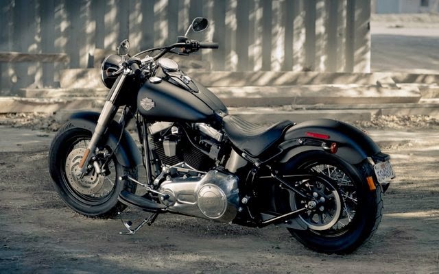 Harley-Davidson Softail Fat Boy FLSTF Repair Manuals