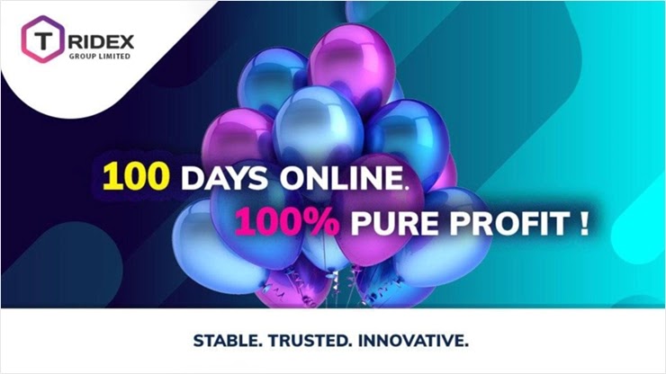 100 дней работы проекта Tridex 100 дней работы Tridex