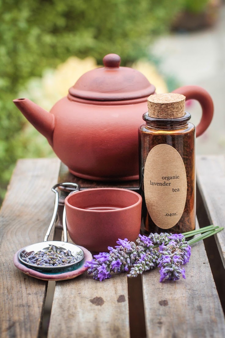 Mua trà Lavender Pháp - trà hoa oải hương Pháp tại TPHCM 01